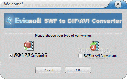 SWF to GIF/AVI Converter