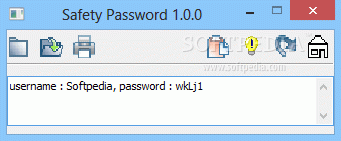 Safety Password