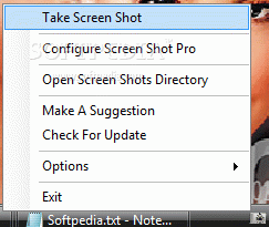Screen Shot Pro
