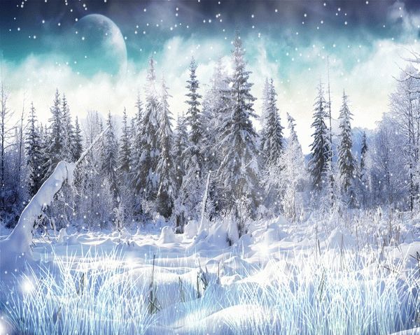 Winter Snow Screensaver