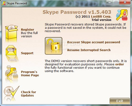 Skype Password