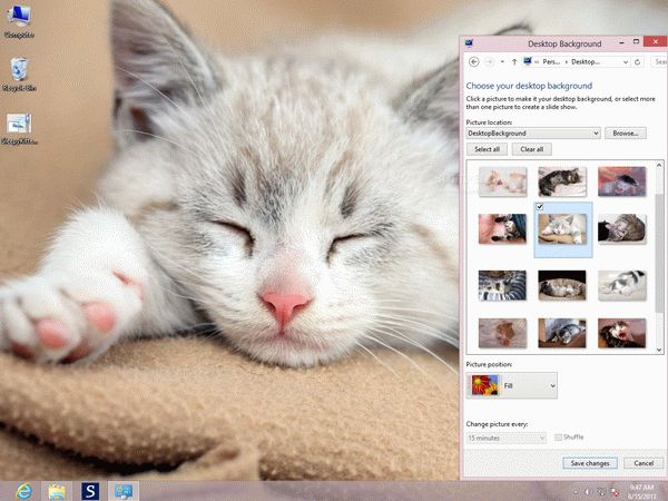 Sleepy Kittens Theme