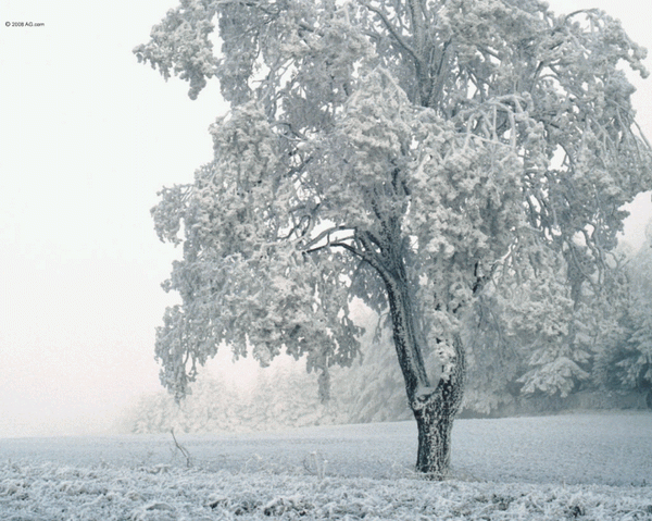 Snowbound