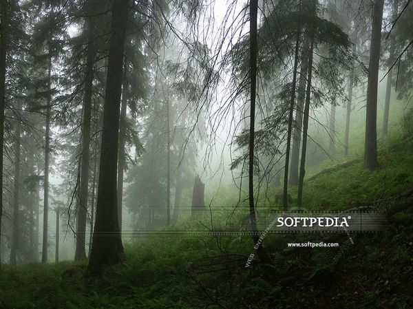 Softpedia Wallpaper Pack 7