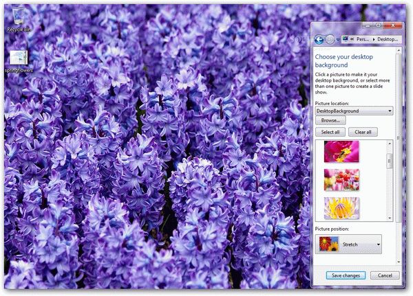 Spring Flowers Windows 7 Theme