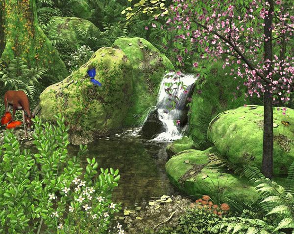 Spring Stream - Animated Wallpaper