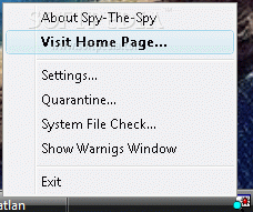 Spy-The-Spy
