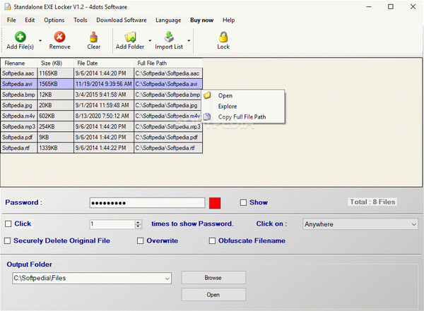 Standalone EXE Locker