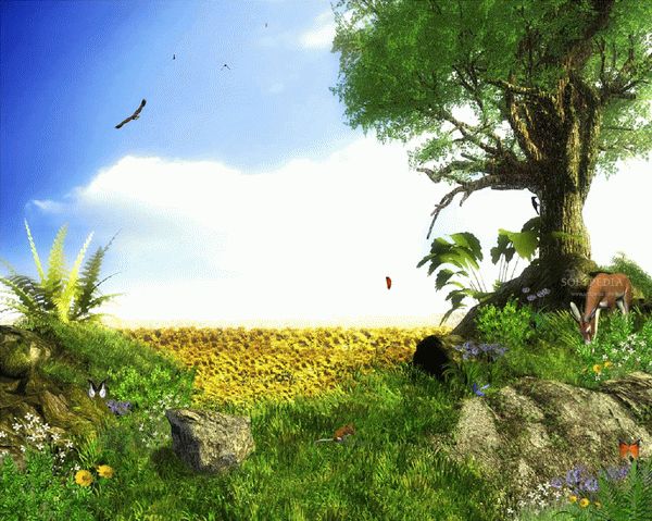Sunflowers - Animated Screensaver