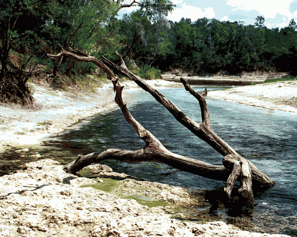 Suwannee River