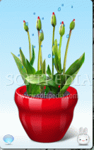 Virtual Flower Pot