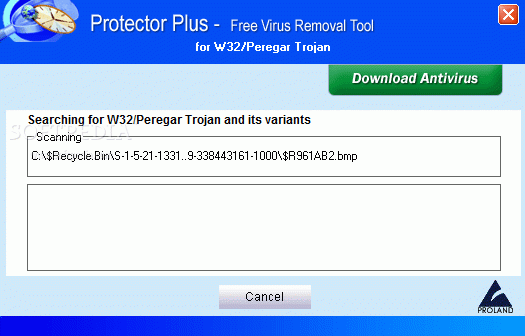 W32/Peregar Trojan Cleaner