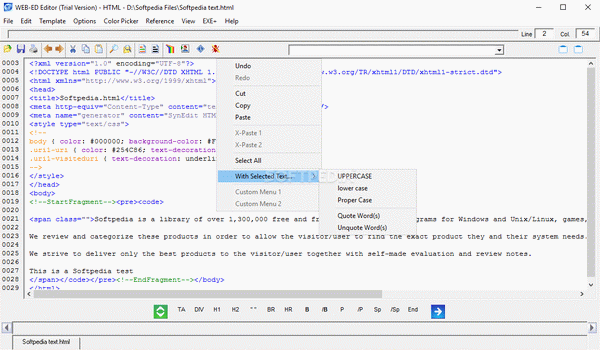 WEB-ED Webpage and Scripting Editor