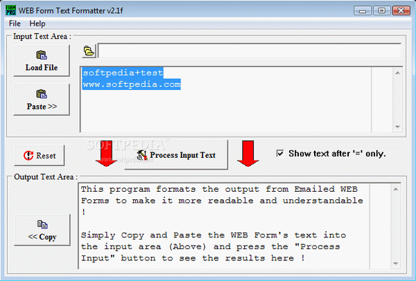 WEB Form Text Formatter