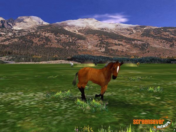 Wild Horses 3D