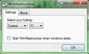 WinMaximumize