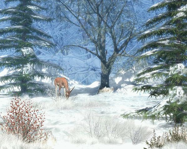 Winter Afternoon - Animated Screensaver