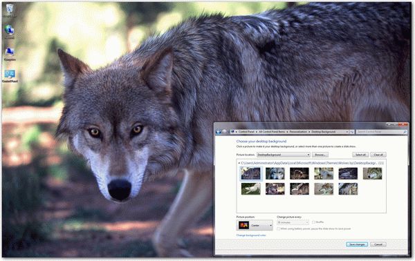 Wolves Windows 7 Theme