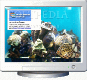 XP Tools Software Aquarium Screensaver