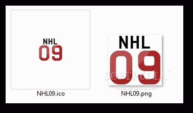 NHL 09 Icon