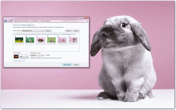 Year of the Rabbit Windows 7 Theme