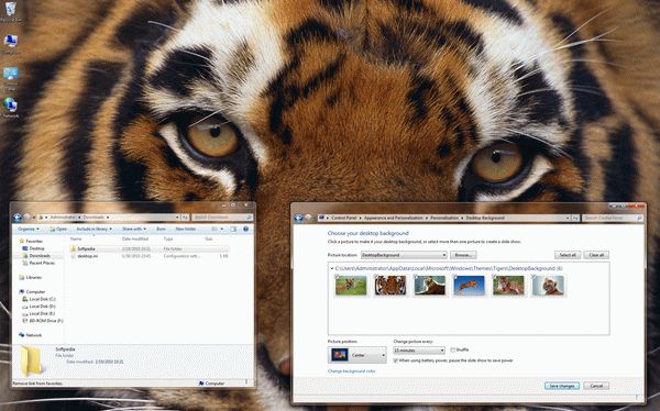 Year of the Tiger Windows 7 Theme