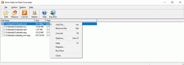 Alive Video to Flash Converter