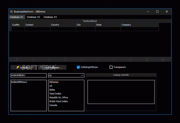 BusinessSkinForm