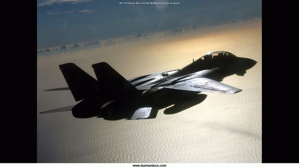 F-14 Tomcat