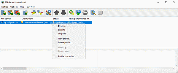 FTPGetter Professional