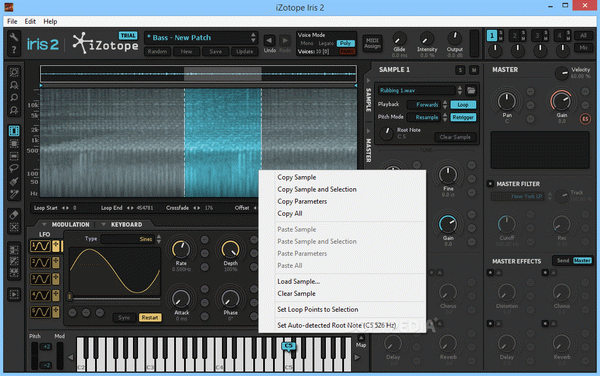 iZotope Iris