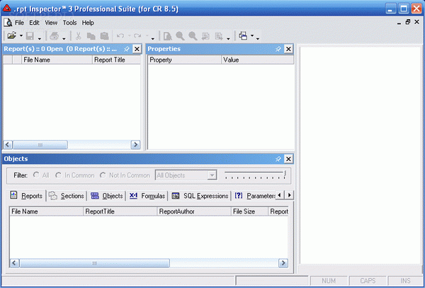 .rpt Inspector Professional Suite (for CR 8.5)